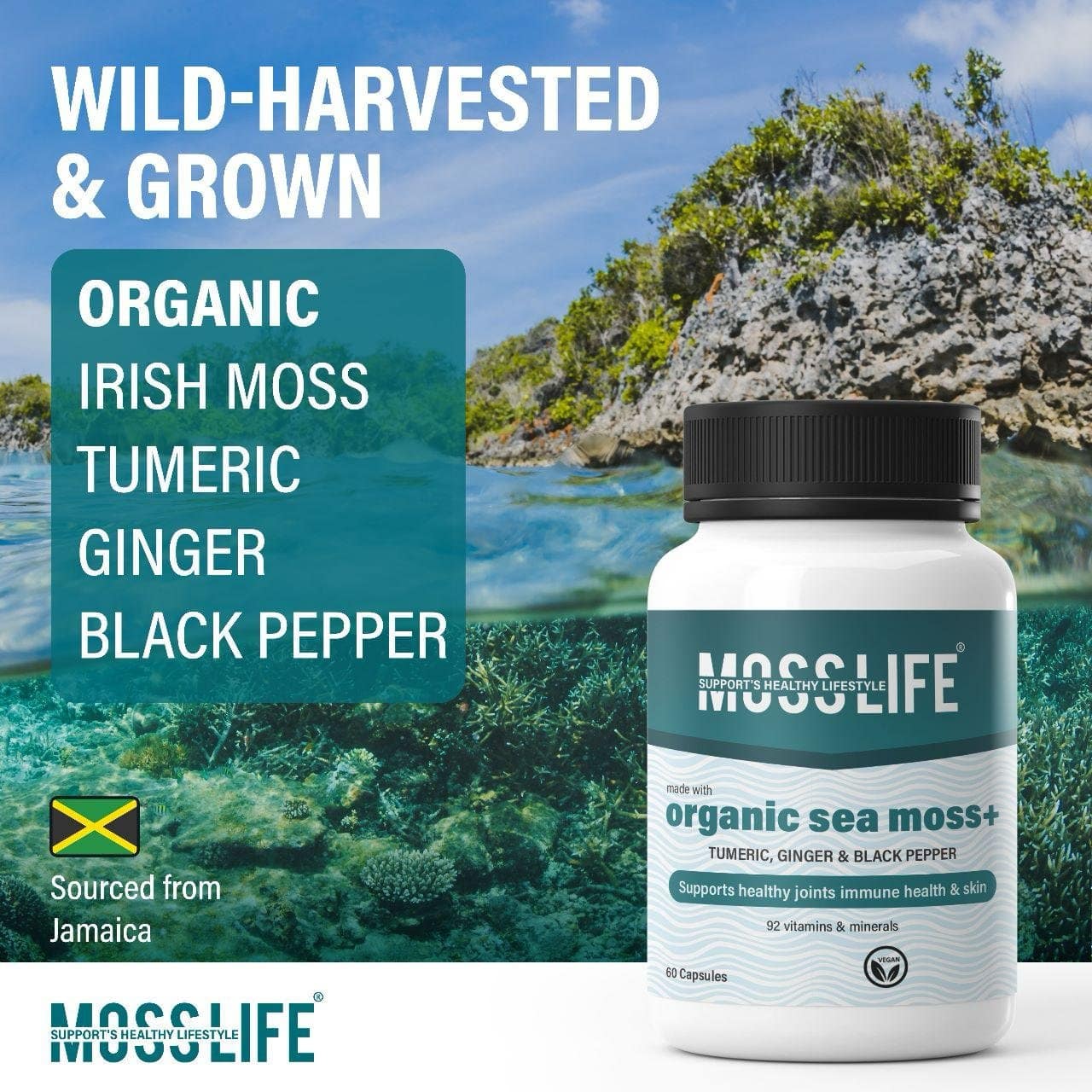 Organic Sea Moss 2